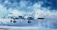 Российский Самолет Ту-95МС