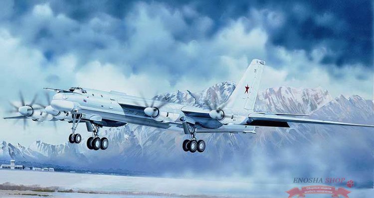 Российский Самолет Ту-95МС купить в Москве