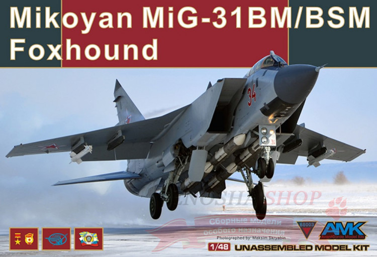Mikoyan MiG-31BM/BSM Foxhound (МиГ-31БМ/БСМ), масштаб 1/48 купить в Москве