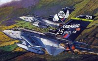 Самолет RAF TORNADO GR.4 "25th ANNIVERSARY OF THE GR" & "SHINY TWO"
