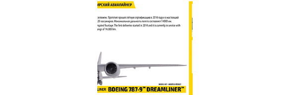 Пассажирский авиалайнер Боинг 787-9 «Дримлайнер» купить в Москве - Пассажирский авиалайнер Боинг 787-9 «Дримлайнер» купить в Москве