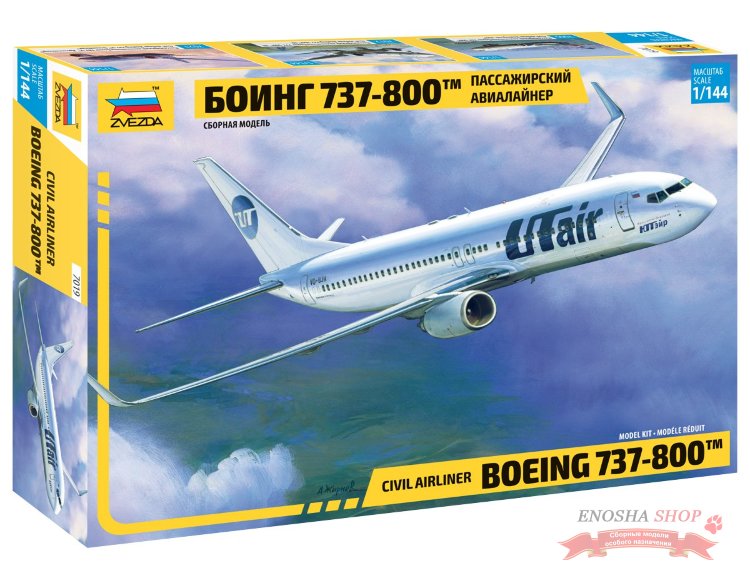 Пассажирский лайнер  Боинг 737-800 купить в Москве