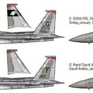 САМОЛЕТ F-15A/C STRIKE EAGLE -ВОЙНА В ЗАЛИВЕ купить в Москве - САМОЛЕТ F-15A/C STRIKE EAGLE -ВОЙНА В ЗАЛИВЕ купить в Москве