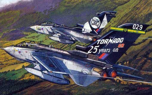 Самолет RAF TORNADO GR.4 "25th ANNIVERSARY OF THE GR" & "SHINY TWO" купить в Москве