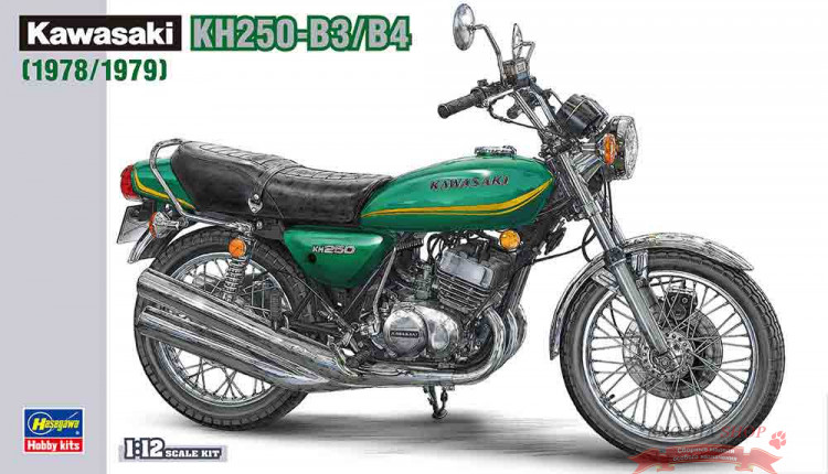 21508 Kawasaki KH250-B3/B4 (1978/1979) купить в Москве