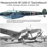 Bf110D-1/R1 &quot;Dackelbauch&quot; купить в Москве - Bf110D-1/R1 "Dackelbauch" купить в Москве
