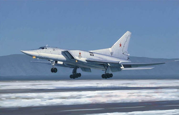 Российский стратегический бомбардировщик ТУ-22М3  купить в Москве