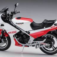 21745 Kawasaki KR250 (KR250A) "White/Red Color" (1984), масштаб 1/12 (УЦЕНКА) купить в Москве - 21745 Kawasaki KR250 (KR250A) "White/Red Color" (1984), масштаб 1/12 (УЦЕНКА) купить в Москве